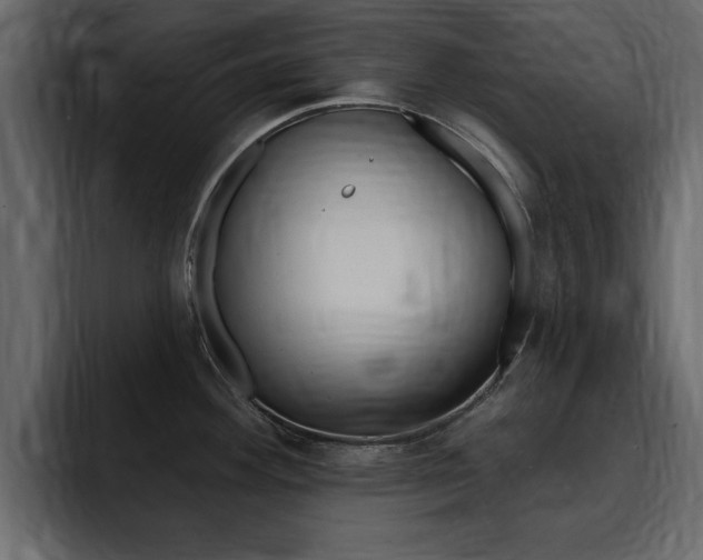 X0000095551292200712140928
