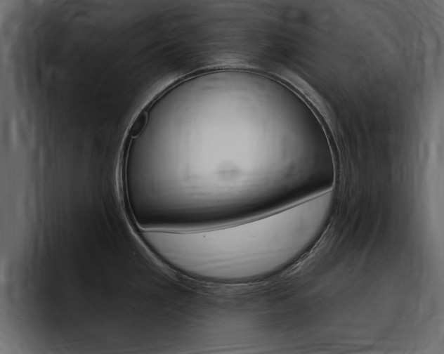 X0000095551293200712140928