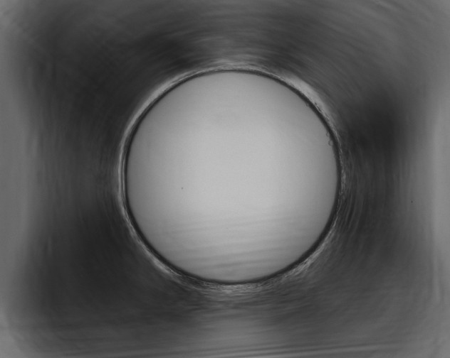 X0000095551294200712140928