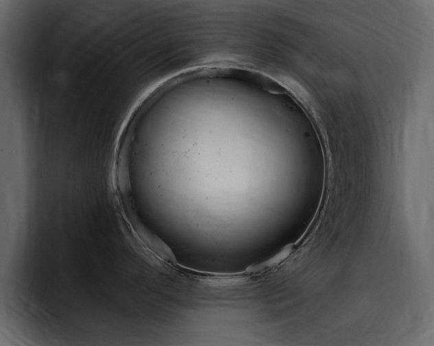 X0000095551296200712140928