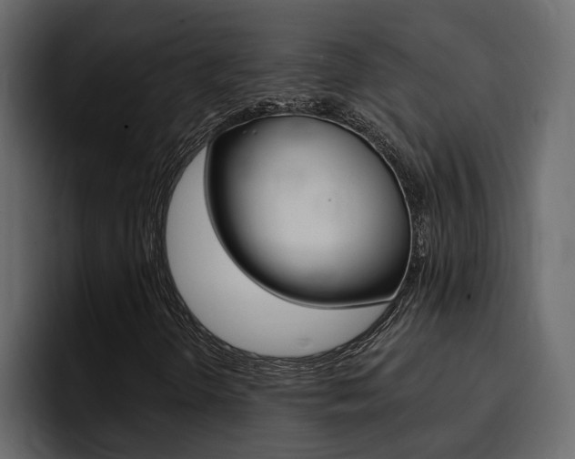 X0000095551298200712140927