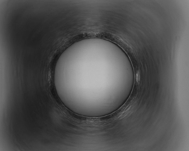 X0000095551299200712140927