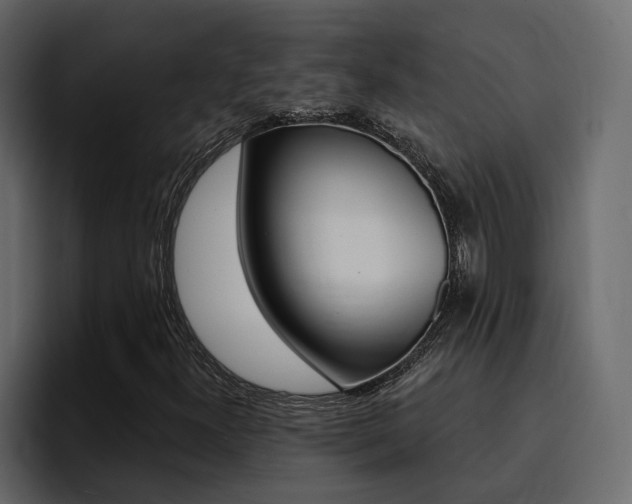 X0000095551300200712140927