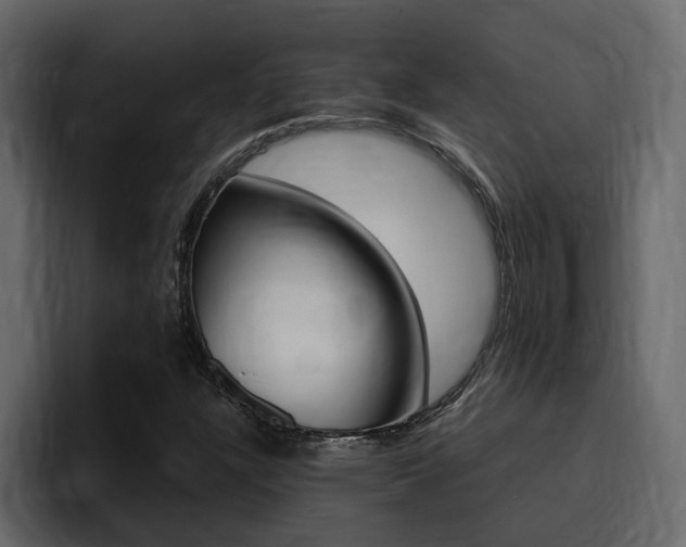 X0000095551304200712140927