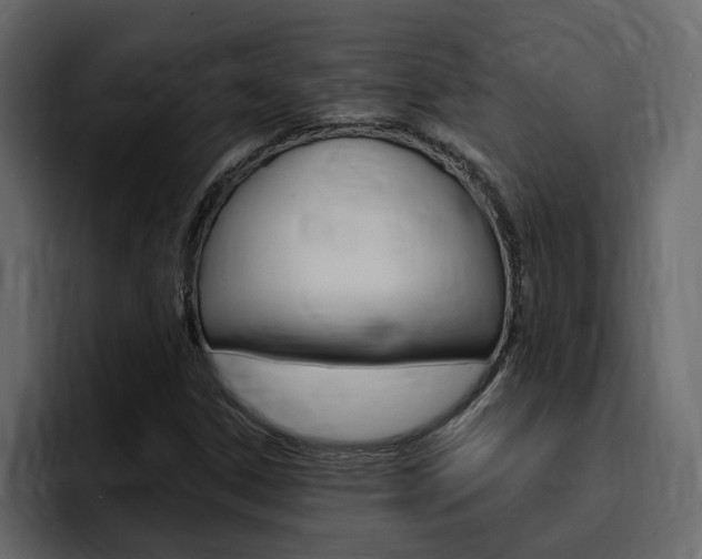 X0000095551306200712140927