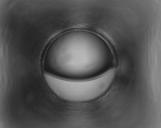 X0000095551308200712140927