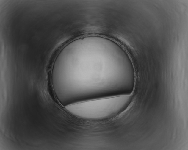X0000095551309200712140927
