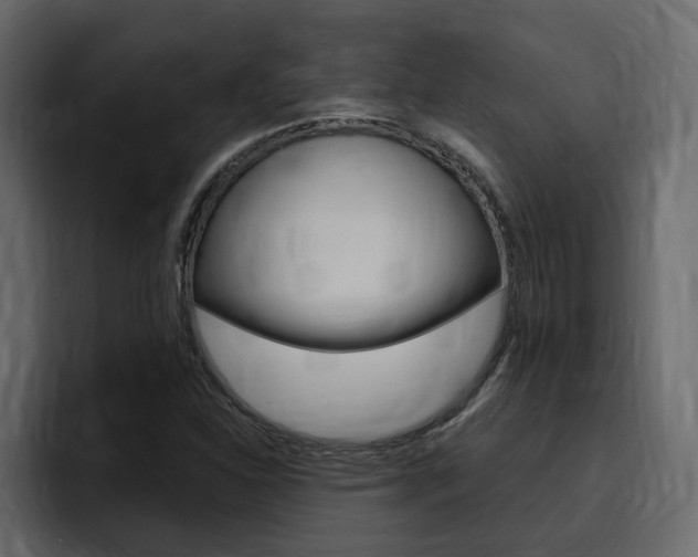X0000095551310200712140927