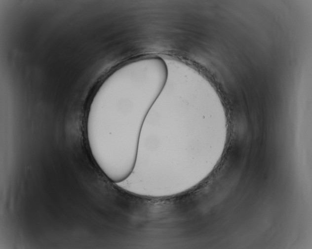 X0000095551314200712140927