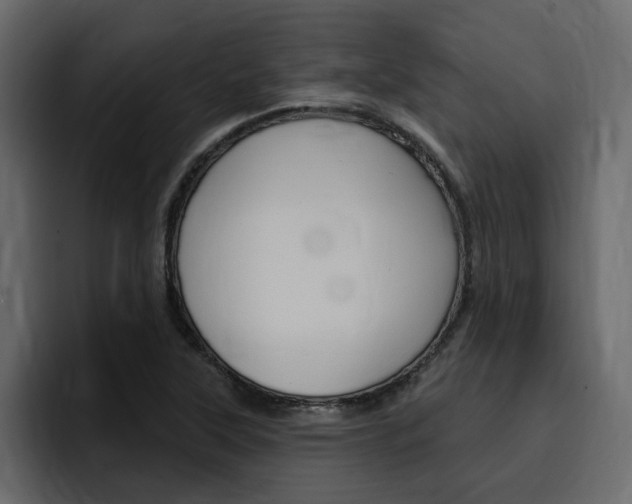 X0000095551315200712140927