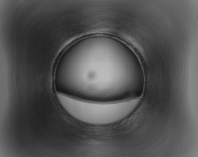 X0000095551316200712140927
