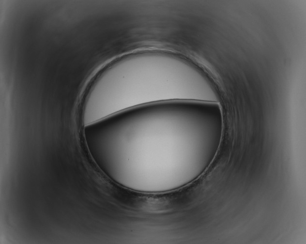 X0000095551318200712140927