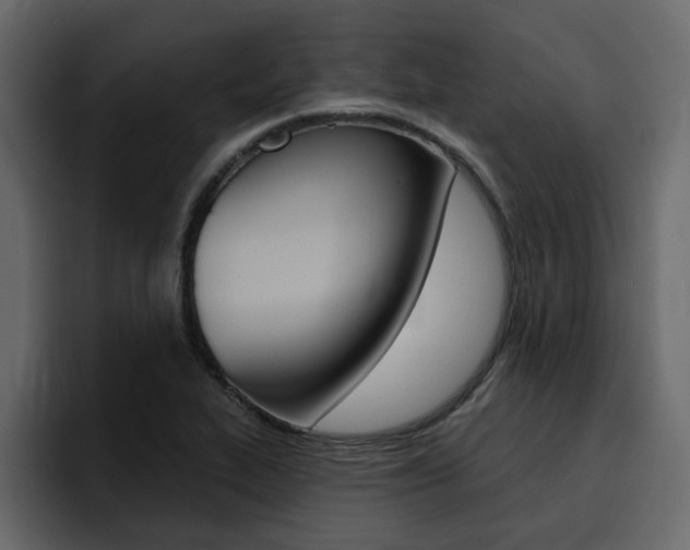 X0000095551319200712140927