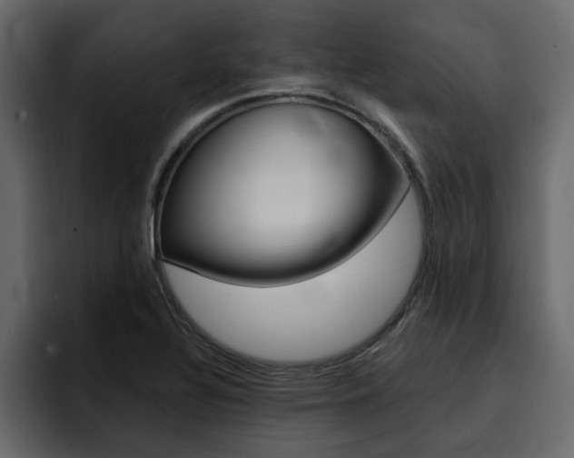 X0000095551320200712140927