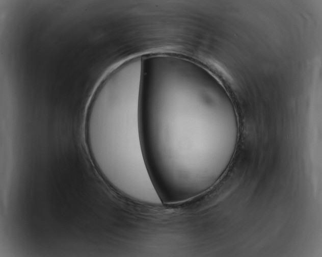 X0000095551324200712140927