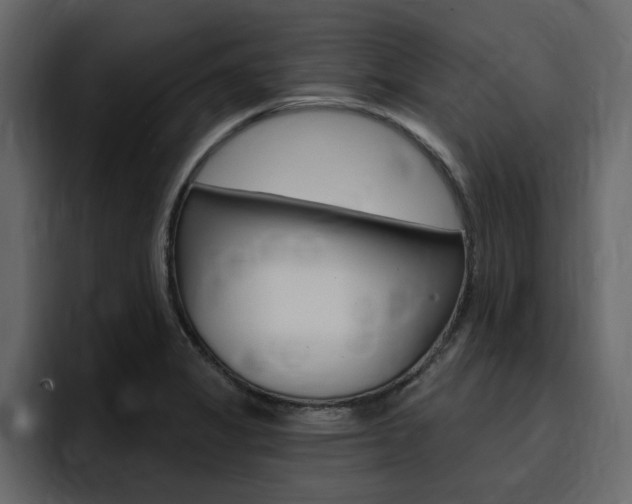 X0000095551325200712140927