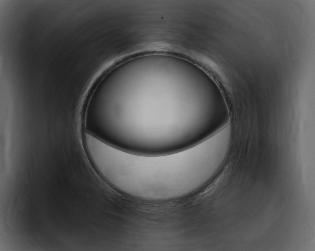 X0000095551326200712140927