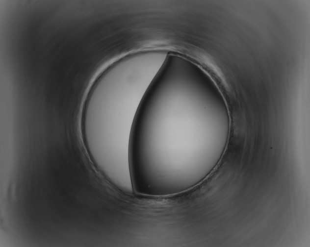X0000095551328200712140927
