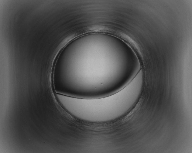 X0000095551330200712140927