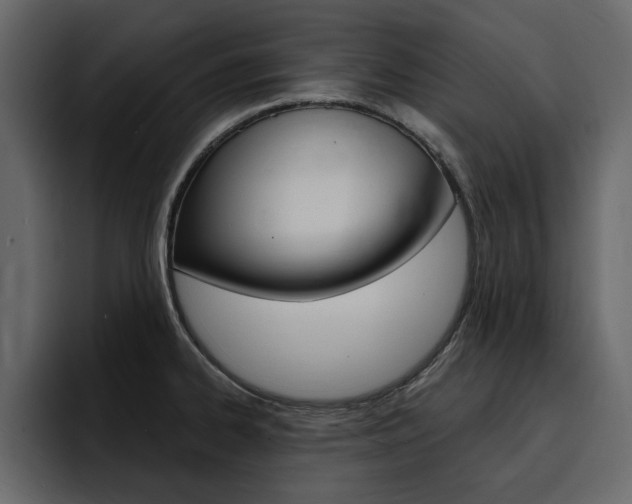 X0000095551334200712140928
