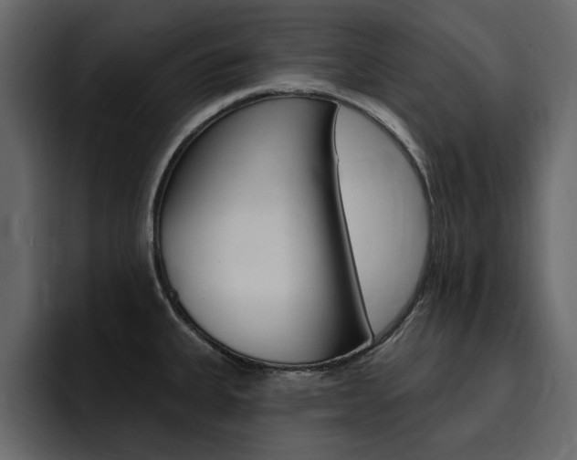 X0000095551335200712140928