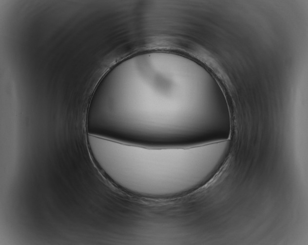 X0000095551337200712140928