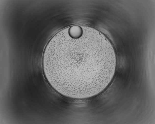 X0000095551338200712140928
