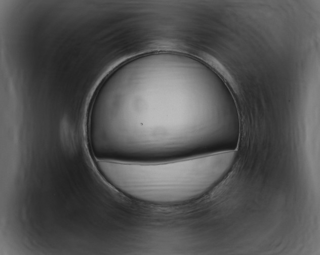 X0000095551339200712140928