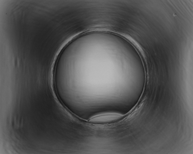 X0000095551341200712140928