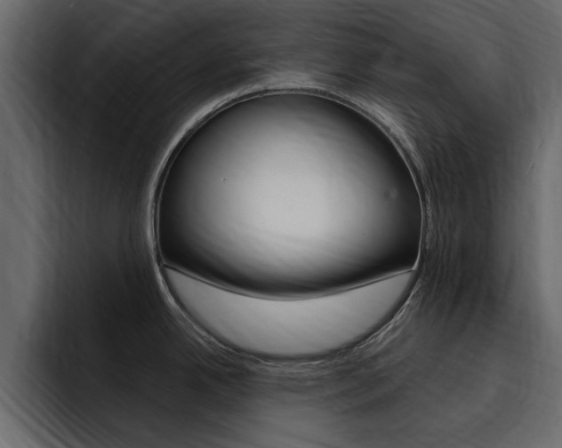 X0000095551342200712140928