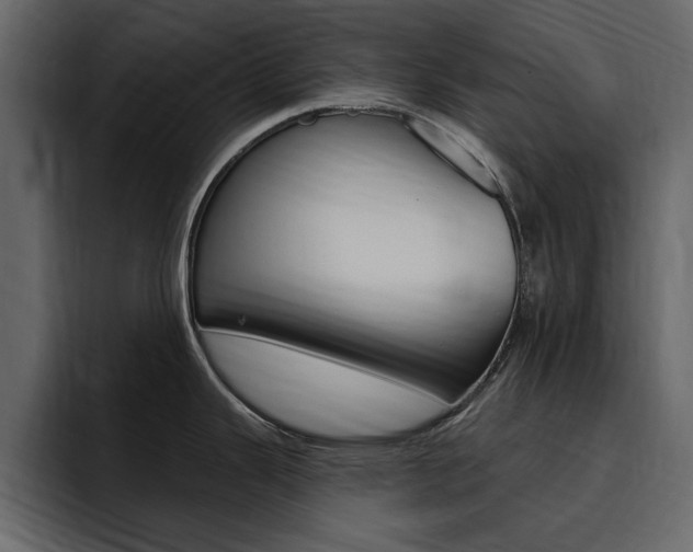 X0000095551343200712140928