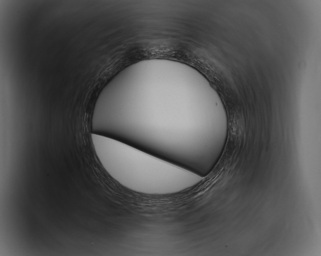 X0000095551346200712140927