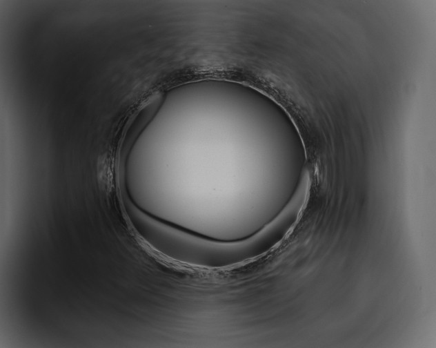 X0000095551348200712140927