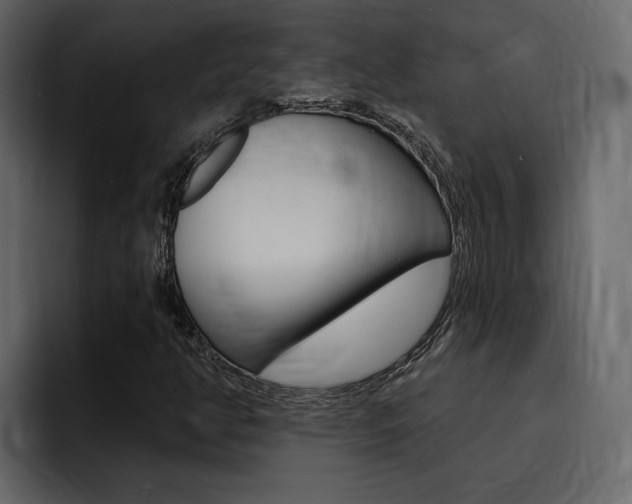 X0000095551350200712140927