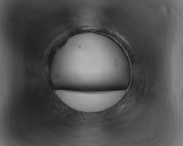 X0000095551351200712140927