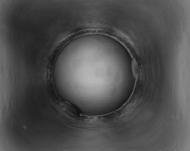 X0000095551352200712140927