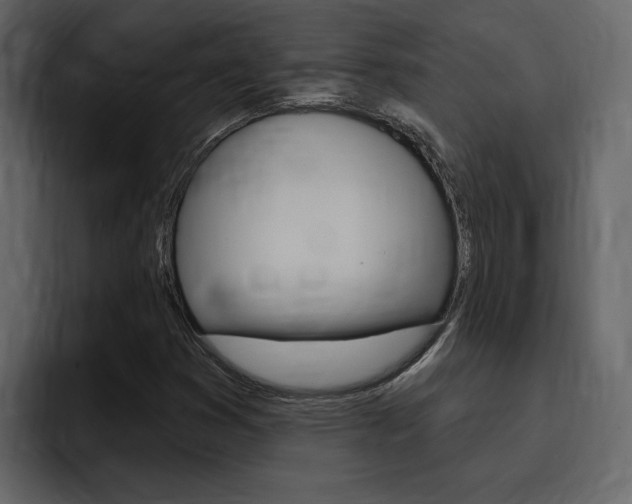 X0000095551353200712140927
