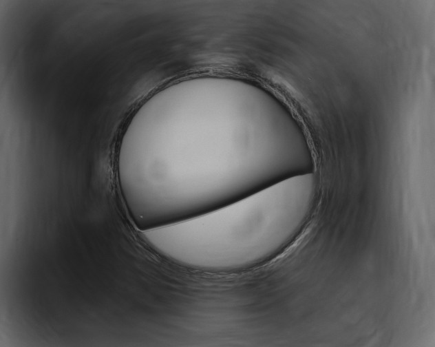X0000095551354200712140927