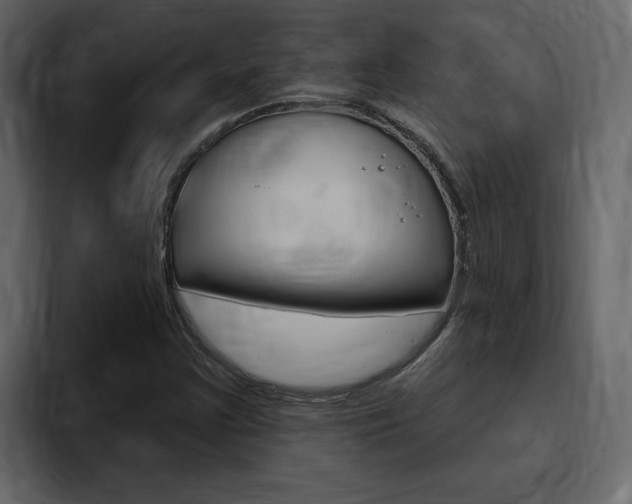 X0000095551355200712140927