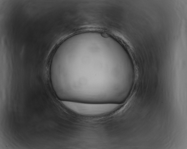 X0000095551357200712140927