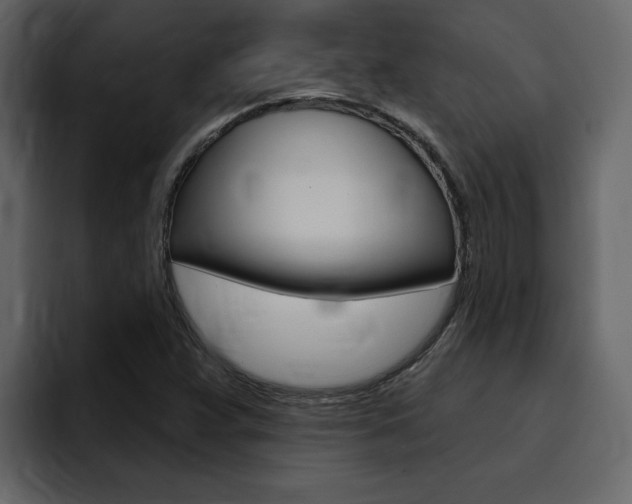 X0000095551359200712140927