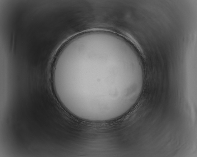 X0000095551360200712140927