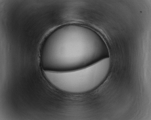 X0000095551363200712140927