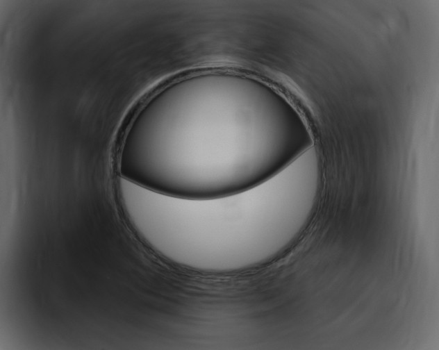 X0000095551364200712140927