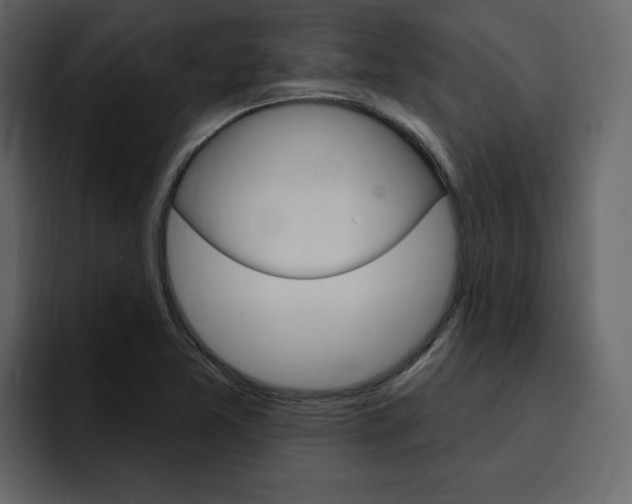 X0000095551365200712140927