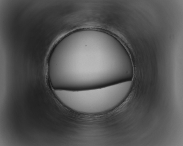 X0000095551366200712140927