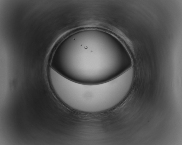X0000095551368200712140927