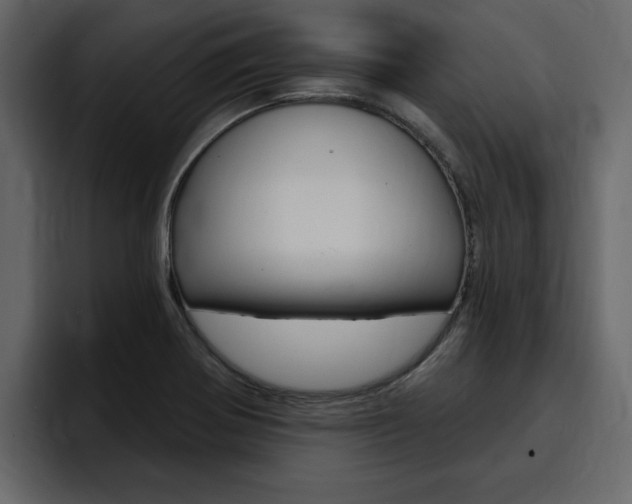 X0000095551370200712140927