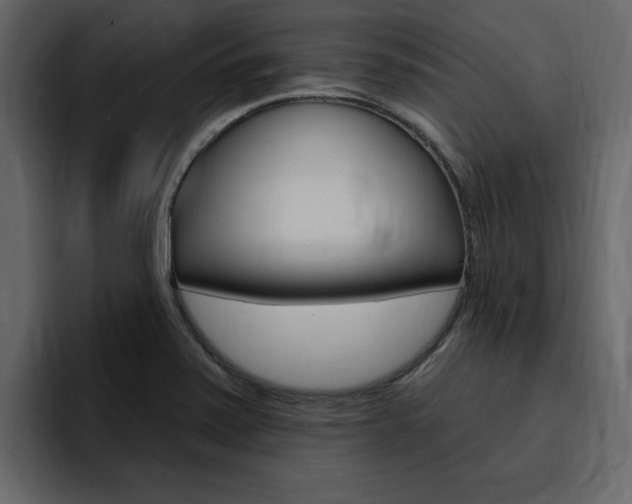 X0000095551371200712140927