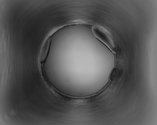 X0000095551373200712140927